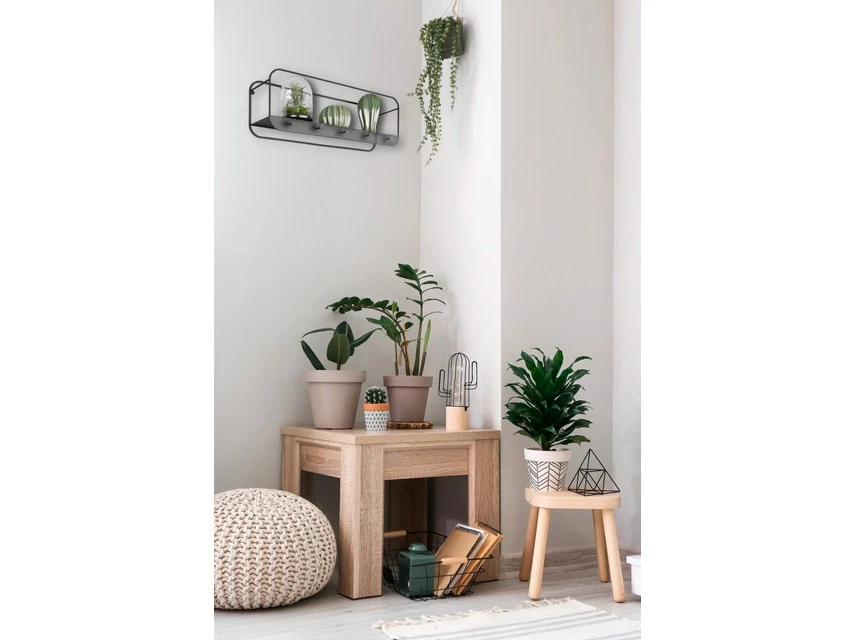 Blitzangebot 🔔 Wandregal Liandra - 51/19,5/17 cm in schwarz 🎁 4 Blitzangebot 🔔 Wandregal Liandra - 51/19,5/17 cm in schwarz 🎁 – Bild 2